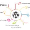 WordPress-CMS-product